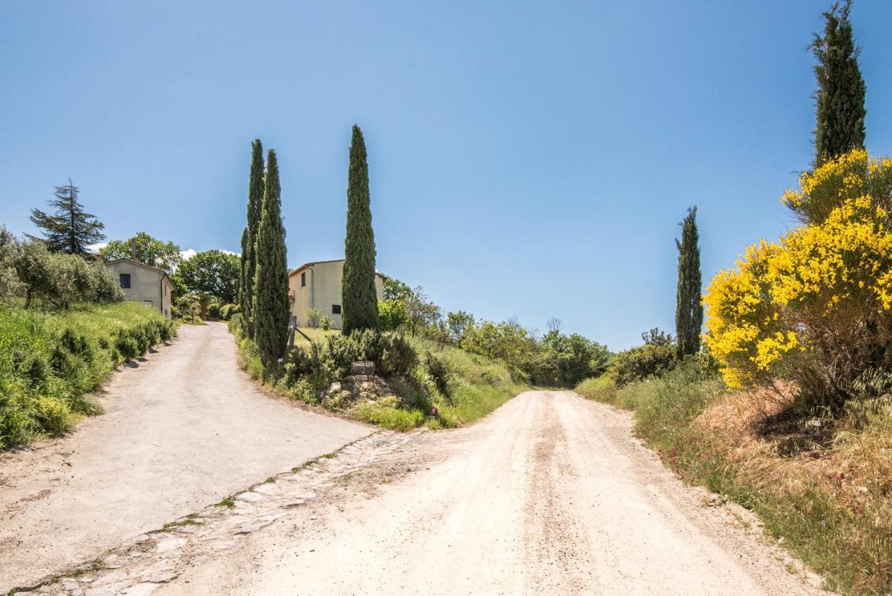 Appartamento Gemma Verde-Tavoleto Castiglione dʼOrcia Eksteriør billede