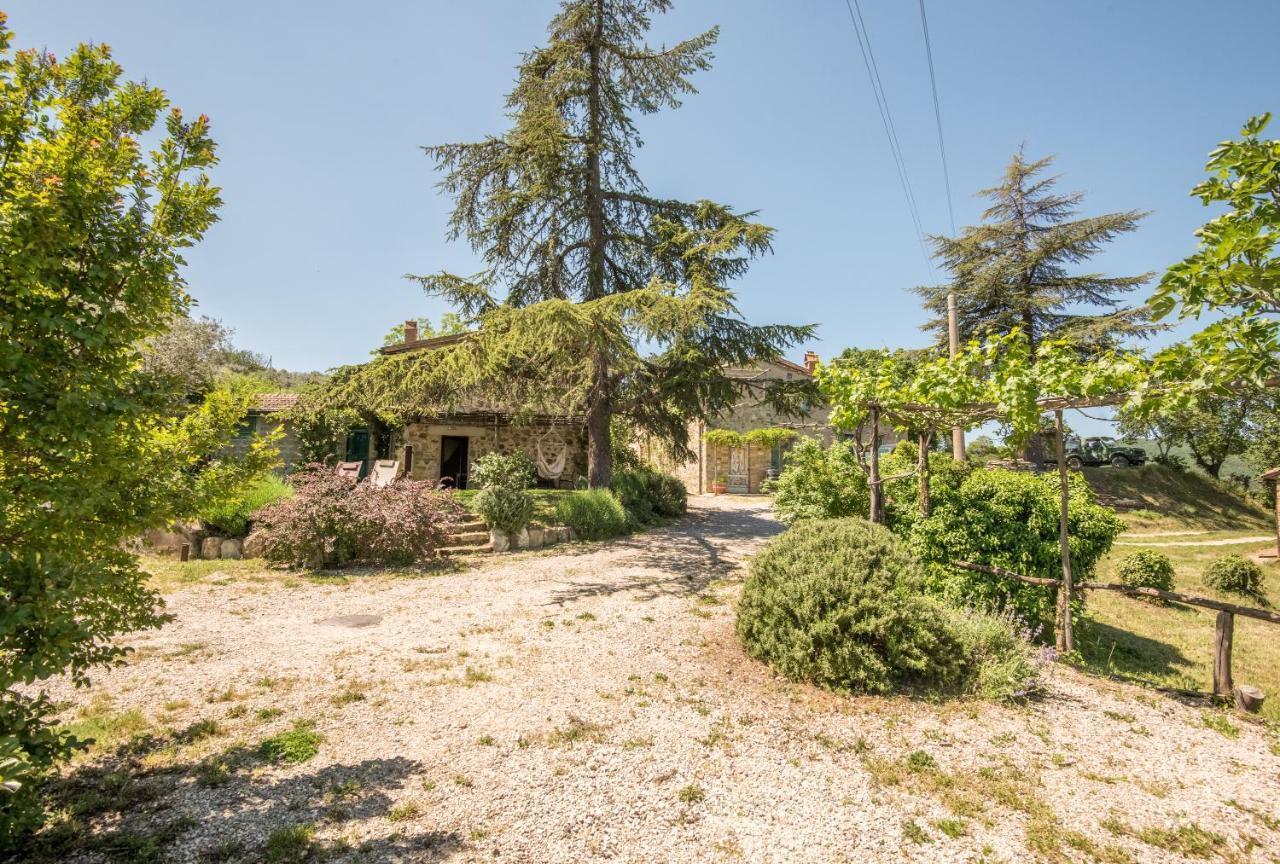 Appartamento Gemma Verde-Tavoleto Castiglione dʼOrcia Eksteriør billede