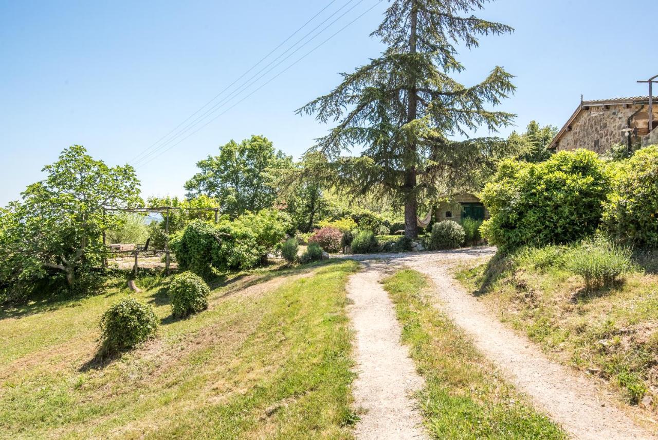 Appartamento Gemma Verde-Tavoleto Castiglione dʼOrcia Eksteriør billede